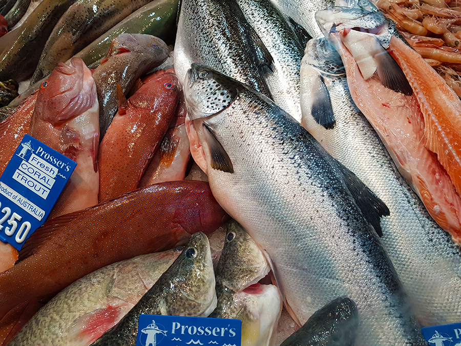Fish